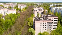 „Spiritele” prosperă acolo: Descoperire surprinzătoare făcută la Cernobîl la 40 de ani de la dezastrul nuclear