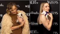 Sharon Stone a adoptat un cățel direct pe covorul roșu, iar Amanda Seyfried a fost premiată pentru dragostea ei pentru animale (FOTO)