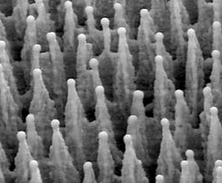 Siliconul negru - detaliu nanometric