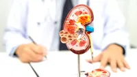 Boala de rinichi poate evolua ani întregi fără simptome. Două analize simple o pot depista din timp