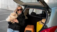 Reguli esențiale pentru a călători cu animalele de companie în străinătate
