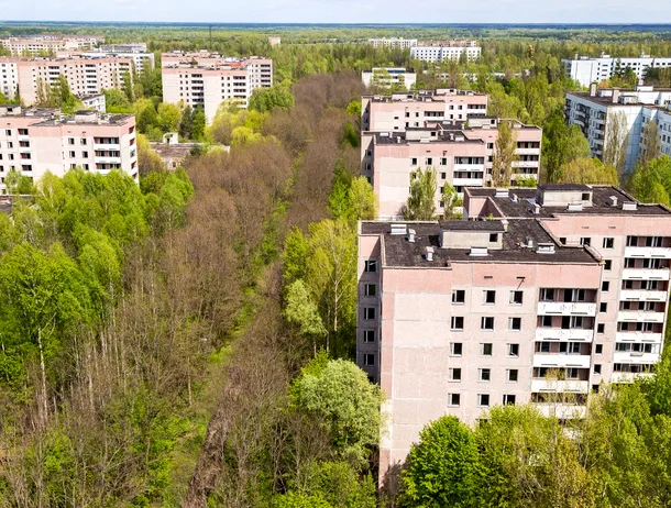 „Spiritele” prosperă acolo: Descoperire surprinzătoare făcută la Cernobîl la 40 de ani de la dezastrul nuclear