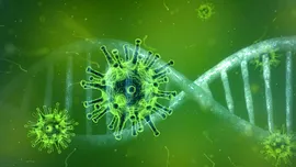 Oamenii de știință au creat o peliculă din material plastic, capabilă să distrugă virușii la contact