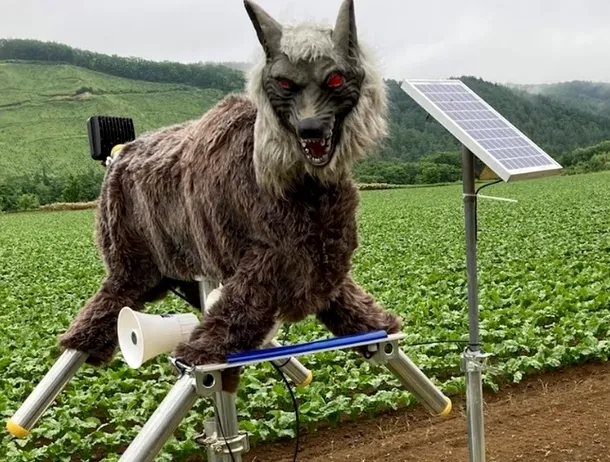 Robotul japonez „Monster Wolf” este o sperietoare de urși de 4.000 de dolari, dotată cu ochi cu LED-uri roșii