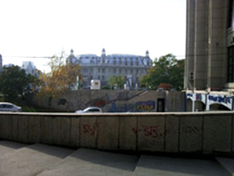 Samsung M8800 Pixon Photo Sample