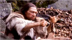 Antibioticul natural al neanderthalienilor: Foloseau „smoală” pentru a preveni infecțiile