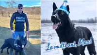 Max, câinele polițist, a împlinit 10 ani. Cum l-a serbat Ministerul Afacerilor Interne pe eroul mereu la datorie (VIDEO)