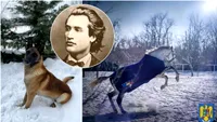 Cum se pregătește MAI, alături de animalele din dotare, de Ziua lui Mihai Eminescu: „Mândră de ceea ce văd!” (VIDEO)