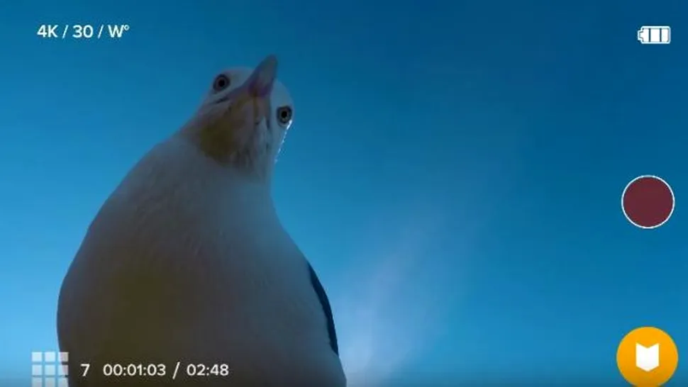 Un bărbat şi-a găsit camera GoPro la cinci luni după ce i-a fost „furată” de un pescăruş
