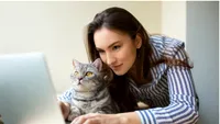 De ce pisicile adoră să stea pe tastatura laptopului. Explicația are legătură cu tehnologia pe care o folosim zilnic