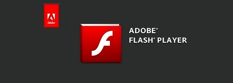 Adobe Flash Player - necesar pentru vizionarea de filme HD la calitate optimă