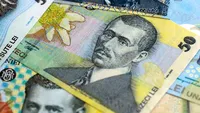 Obligație pentru firmele din sectorul agroalimentar. Amenzi de până la 20.000 de lei pentru cei care nu raportează stocurile