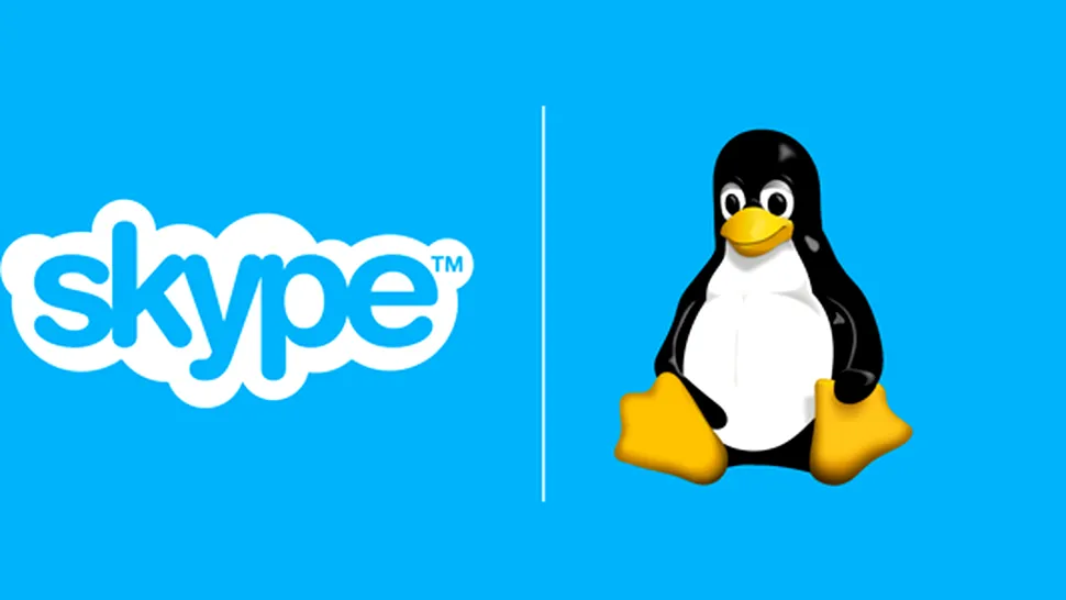 Skype for Linux disponibil acum în variantă Beta