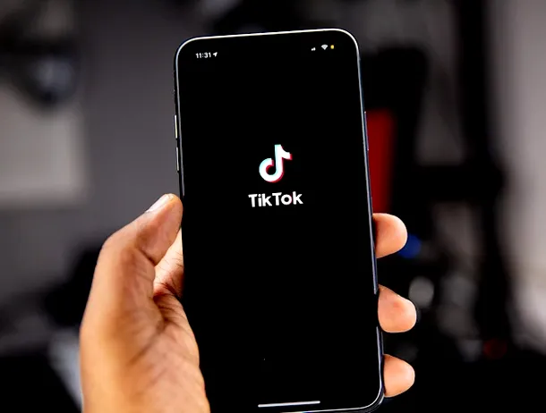 Un bărbat din Arad, amendat cu 1.000 de lei pentru injurii adresate polițiștilor pe TikTok