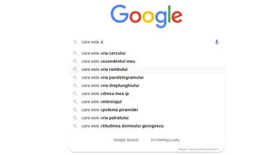 TOP 10 căutări pe Google în România în 2019 : aria cercului, iPhone 11, Prohodul şi reţeta pentru socată