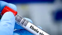 Alertă internațională: o tulpină rară de Ebola se răspândește necontrolat, iar experții se tem de o pandemie severă