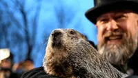 Tradiția care ține America cu sufletul la gură. Faimoasa marmotă Phil a prezis încă șase săptămâni de iarnă