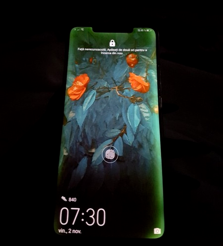 Huawei Mate 20 Pro - probleme display
