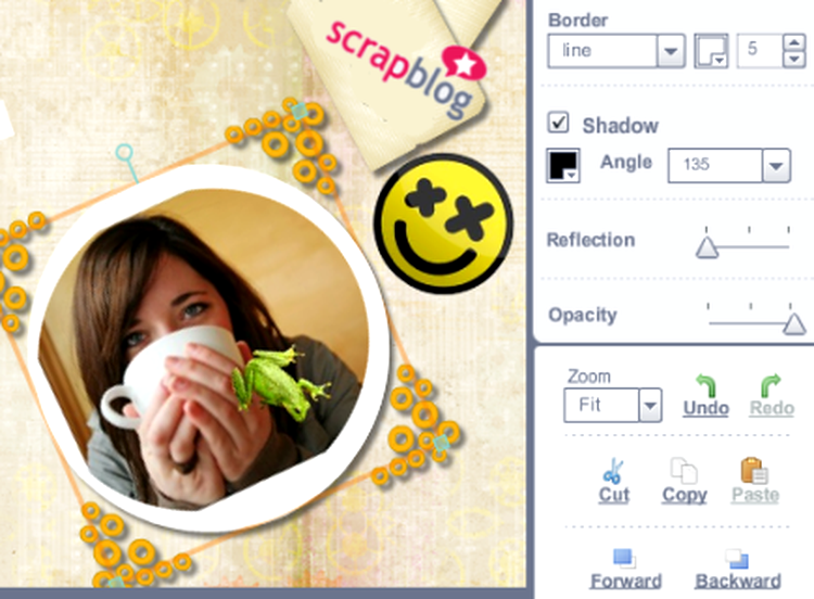 scrapblog, user interface
