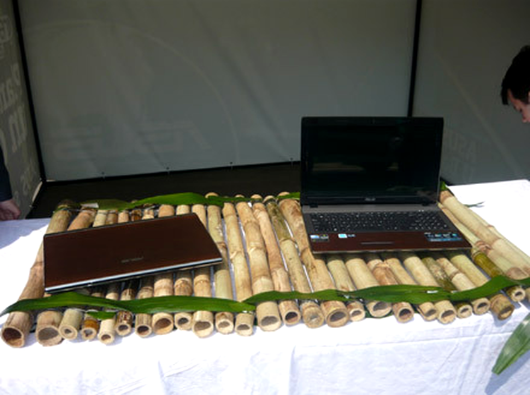 ASUS U53 Bamboo
