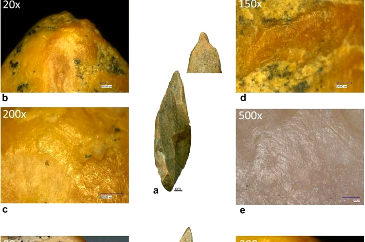 unelte din os folosite de neanderthalieni in romania