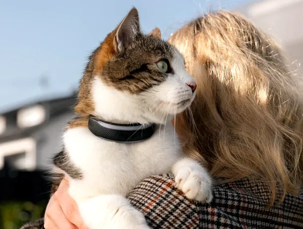 Două zgărzi pentru animale de companie care funcționează ca niște ceasuri de fitness, lansate