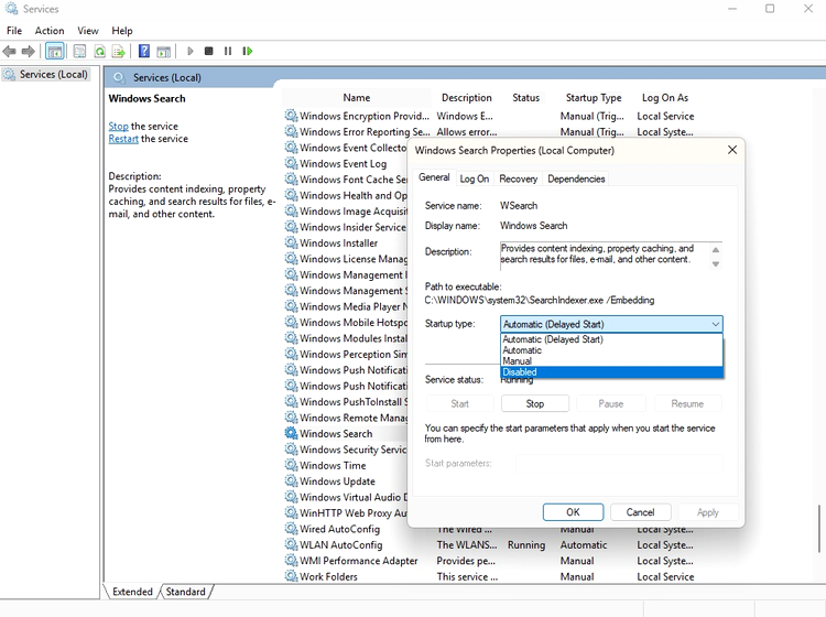 windows 11 search index