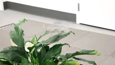 Phantom Twist: Cercetătorii au creat o dronă mult mai greu de observat cu ochiul liber – VIDEO