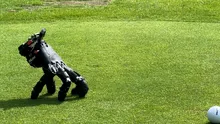 Thing 2.0? Un robot cu care s-ar mândri familia Addams – VIDEO