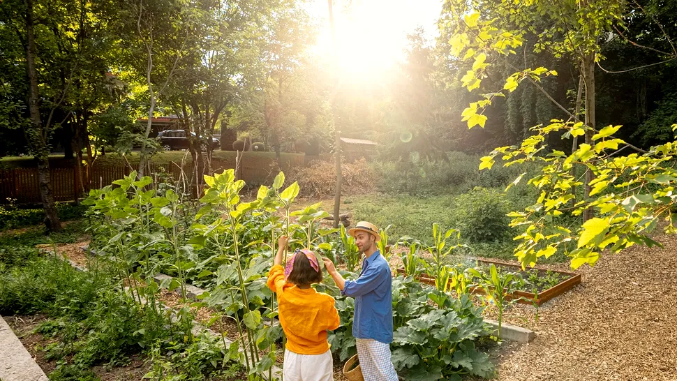 Kaufland surprinde cu oferta Parkside: un produs este indisponibil deja, dar apare kitul solar smart-eco pentru grădină