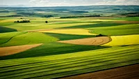 Proprietarii de terenuri rămân fără propriul bun. S-a dat termen legal. Nu se mai poate recupera
