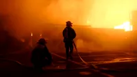 Incendiile de vegetație se extind în Europa. Mii de oameni au fost evacuați, iar sute de pompieri luptă cu flăcările