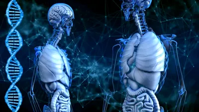 O companie este acuzată că ar pregăti clone umane în care bolnavii vor putea să-și mute creierele