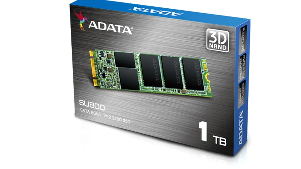ADATA lansează SSD-ul Ultimate SU800, pentru interfaţa M.2 2280