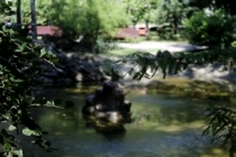 ISO 100, F5.6, 1/125 s