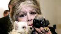 Când vor avea loc funeraliile lui Brigitte Bardot. Anunțul făcut de fundația sa dedicată protecţiei animalelor