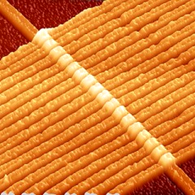 Memristorul sub microscop