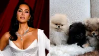 Kim Kardashian, criticată dur de PETA după ce le-a dăruit celor patru copii câte un cățel de Crăciun: „Cățeii nu sunt jucării” (FOTO)