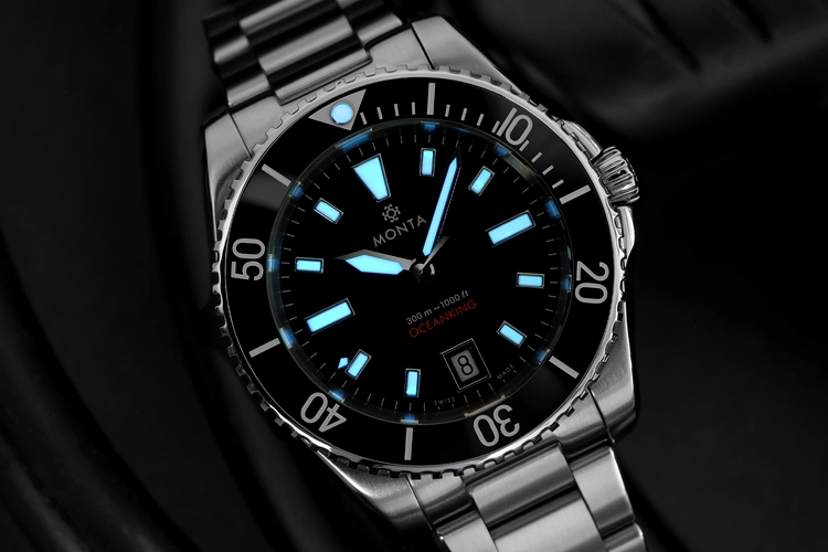 ceas monta diver