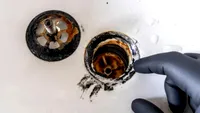 Substanța neagră și lipicioasă din chiuveta de la baie. Ce este, de fapt, și cum scapi de ea