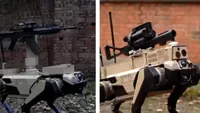 Câinii-roboți ai Chinei luptă autonom, ca o haită de lupi reală (VIDEO)