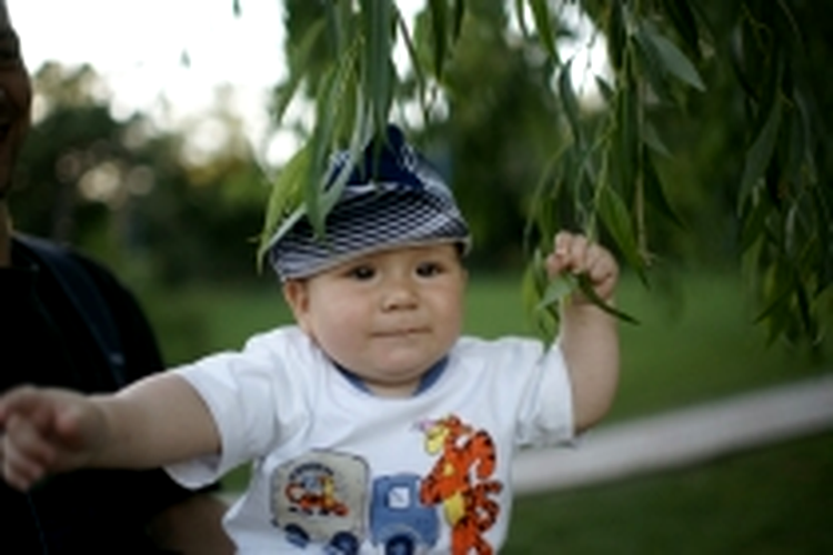 AP, ISO 400, f/1.4, 1/2500