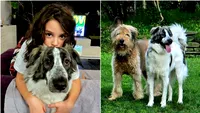 Povestea unei familii din București care s-a îndrăgostit de cățelușa adoptată: „S-a lipit de mine din prima și așa a rămas” (FOTO)