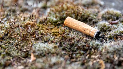 Mucurile de țigară, transformate în elemente pentru baterii de cercetători chinezi