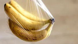 Două chimicale din plastic, asociate cu milioane de nașteri premature. Ce recomandă experții?