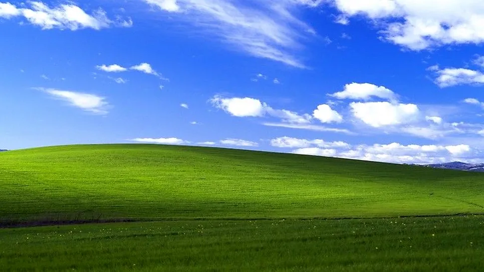 Codul sursă al Windows XP, publicat pe internet