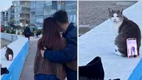 Moment viral: Pisică vagaboandă, folosită de doi îndrăgostiți ca suport de telefon pentru o poză de vacanță în Turcia: „Pisicile nici nu cer bacșiș”