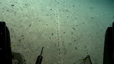 Cercetătorii nu-și pot explica găurile misterioase descoperite pe fundul oceanului