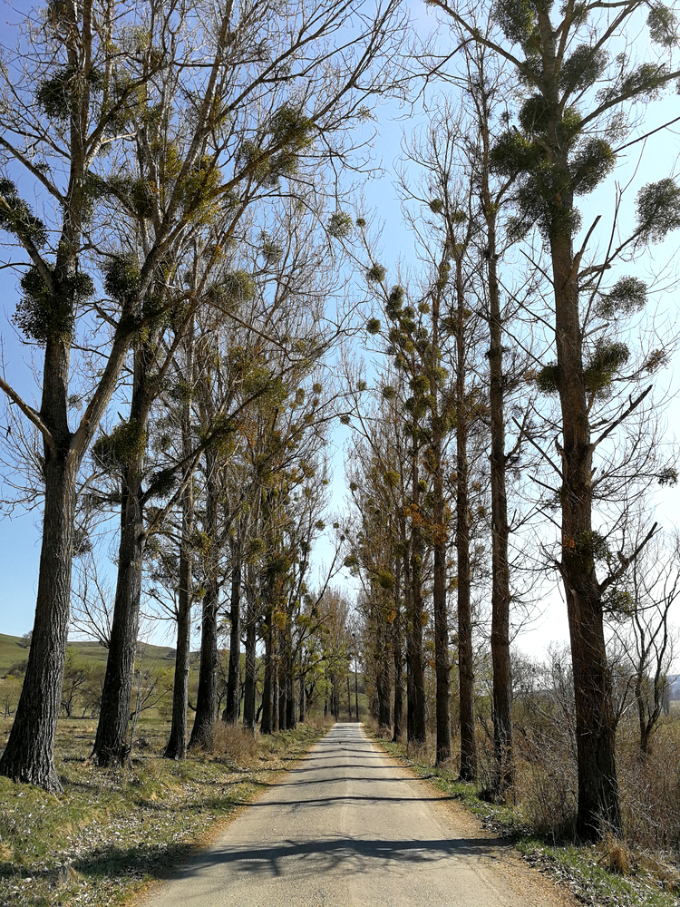 Fotografia de călătorie cu Huawei P10