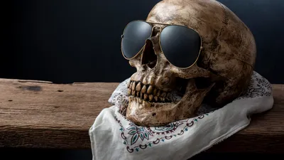 Craniul unui bărbat dispărut în 2012, descoperit pe un șemineu, cu ochelari de soare